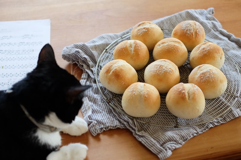 パンの見張り番