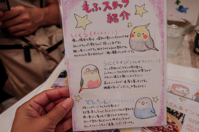 とりさんの紹介