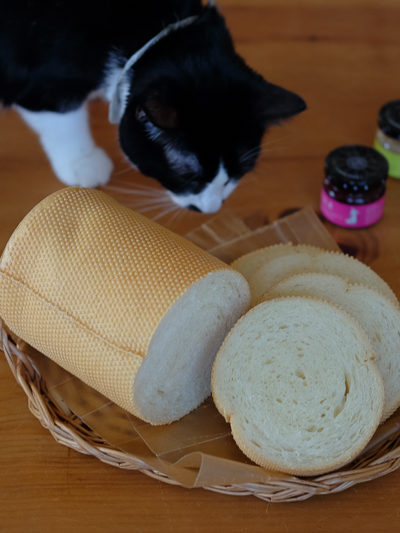 メッシュ型パン