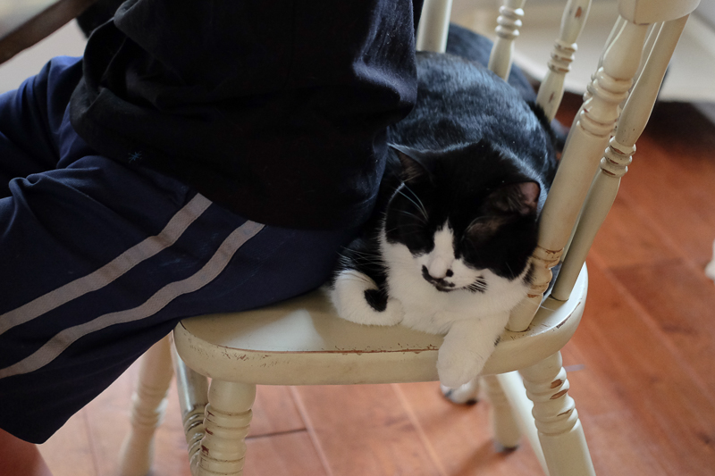 意地でものきません