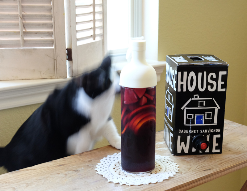 あんこちゃんが来た！