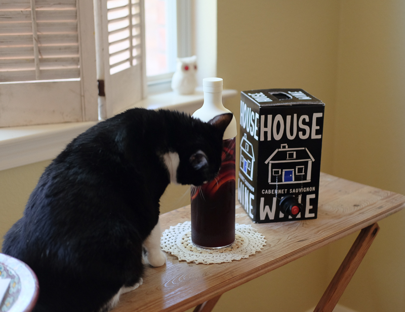 上の方をくんくん