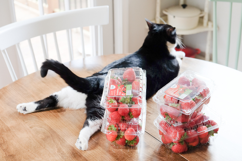 安売りのいちご