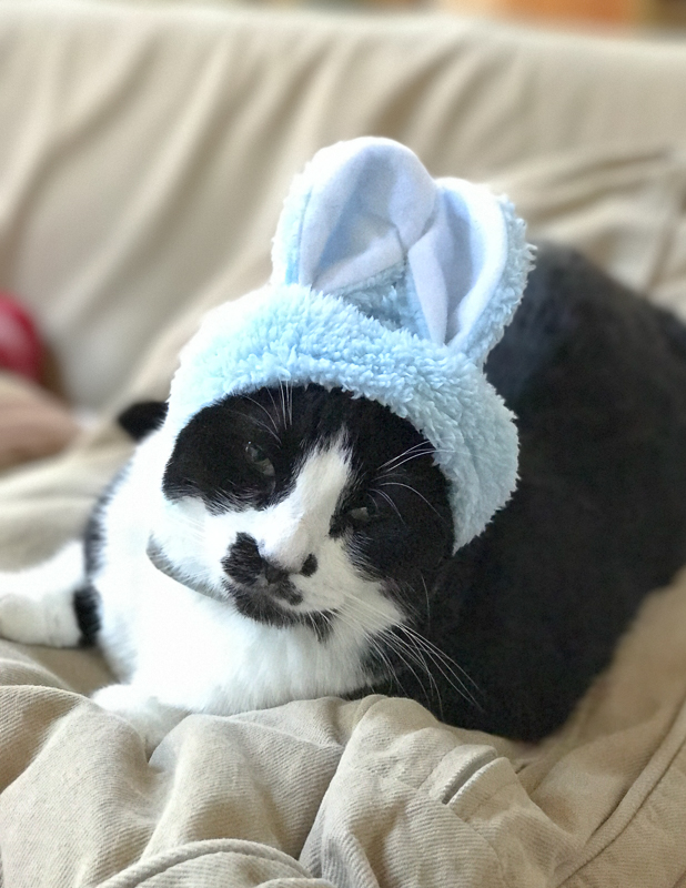 うーん、微妙。