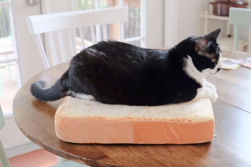 パンクッション