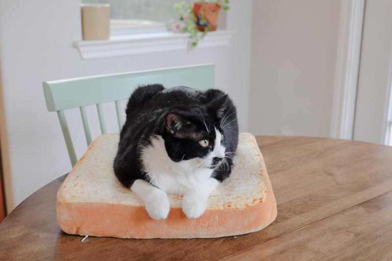 なかなか気に入ったわ