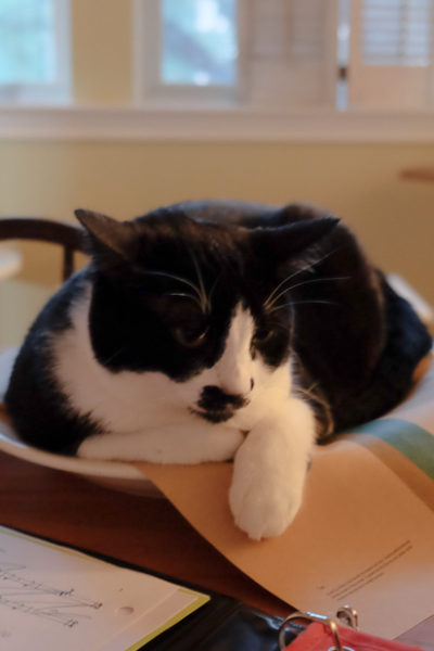 むにゃむにゃ...