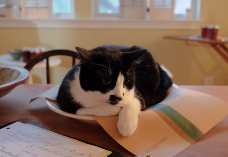 むにゃむにゃ...