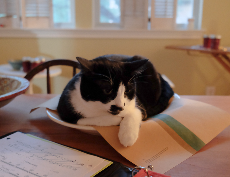 むにゃむにゃ... 