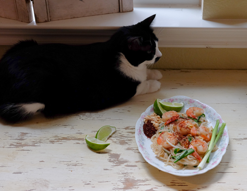 あんこちゃんも参加