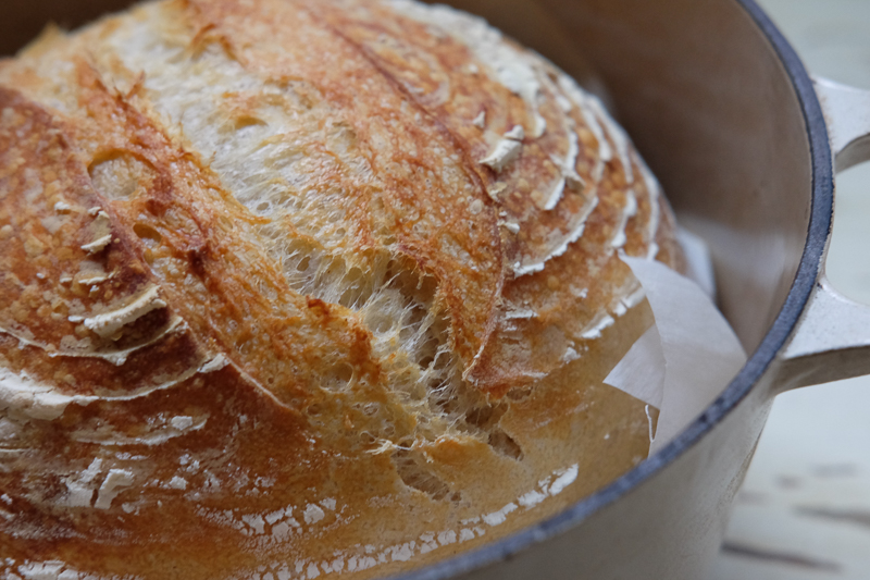 これこれ、この開き