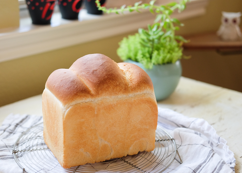 久々のホシノ酵母パン