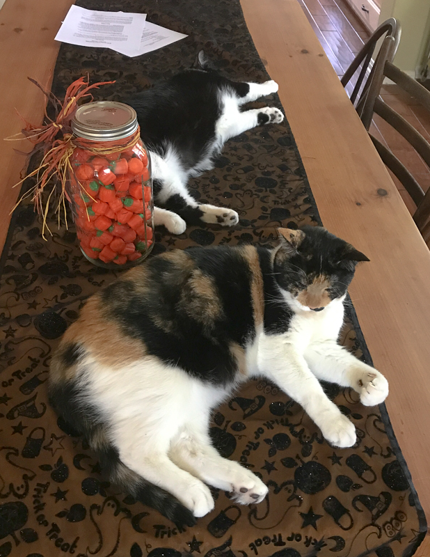 もらっちゃった