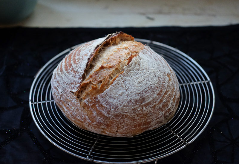 ベストだったサワードウ