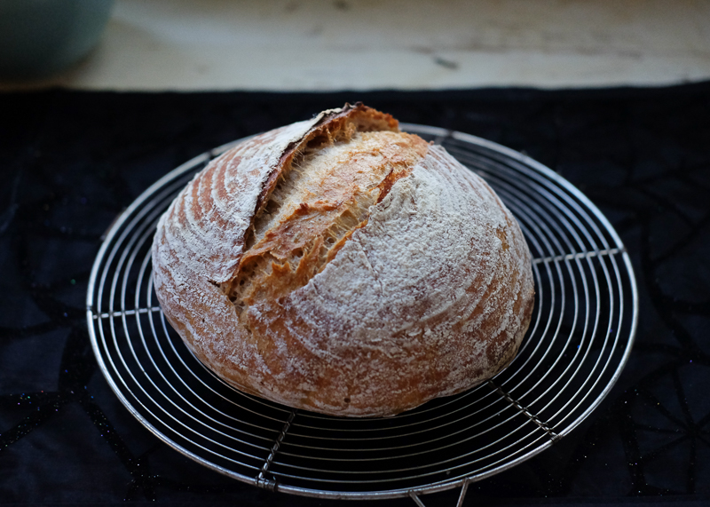 ベストだったサワードウ