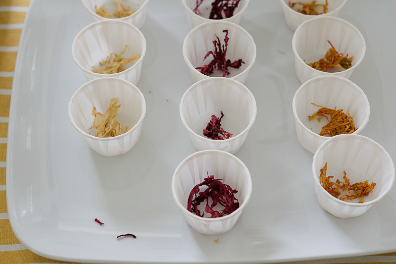 ドライサワークラウト