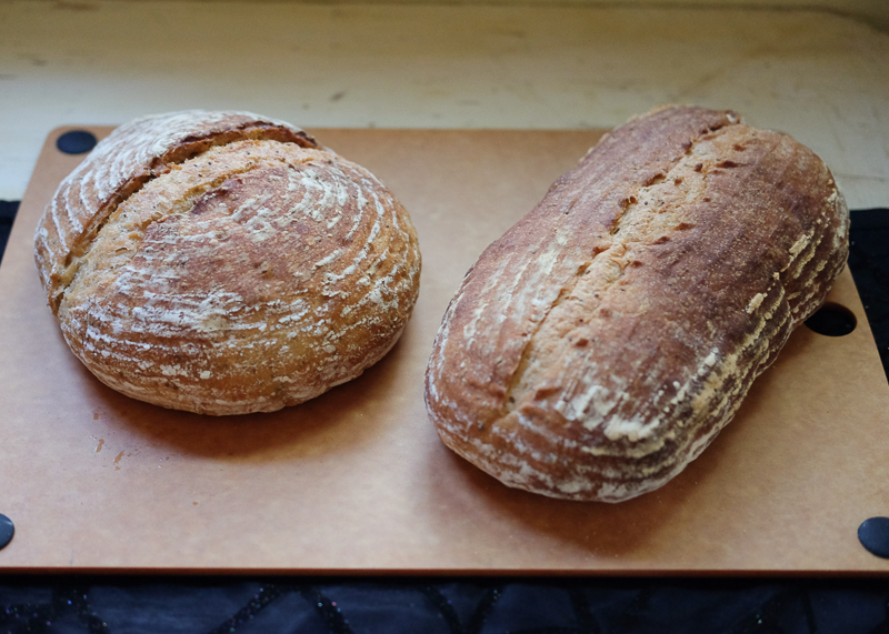 同じように焼いた、二つのサワードウ