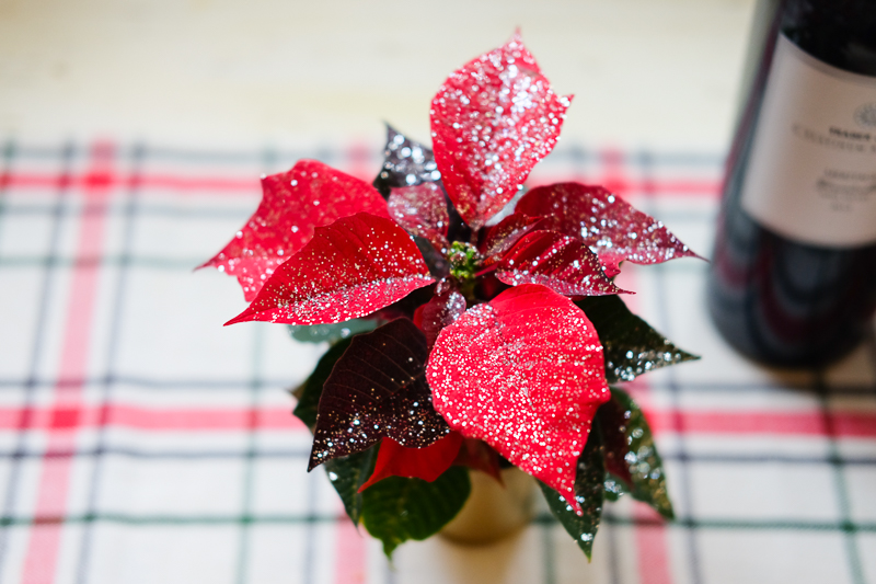 きらきらしてきれい