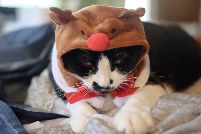 やっぱり怒ってるね