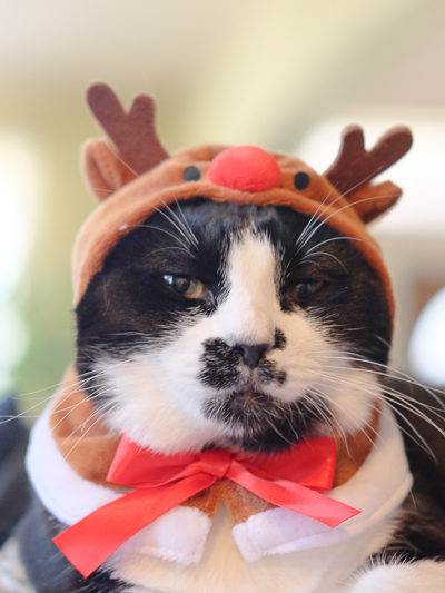 メリークリスマス