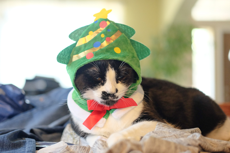 さらに怒らせる