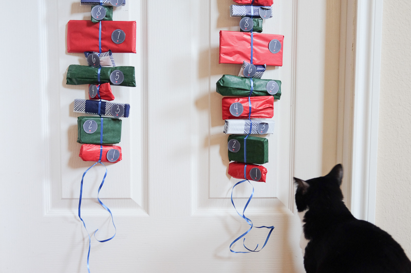 あんこちゃんも見に来たよ