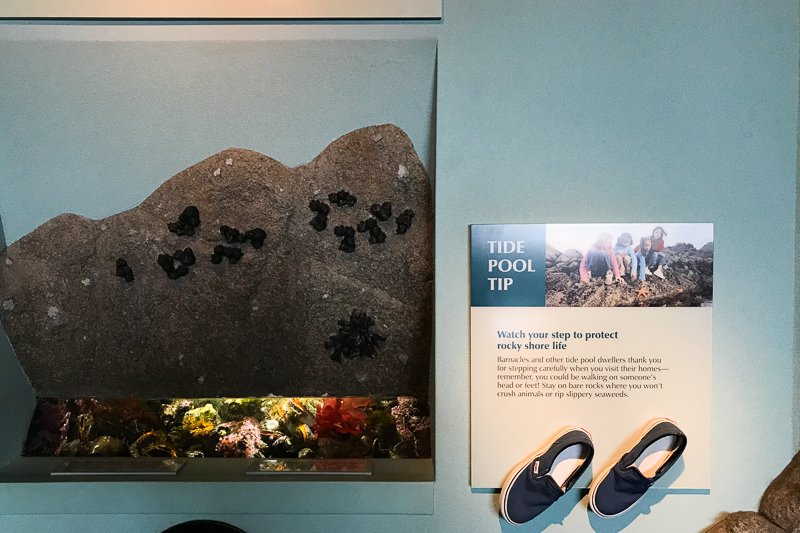 エデュケーショナルです