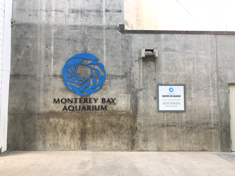 かっこいい外観