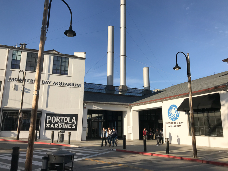 モントレー水族館