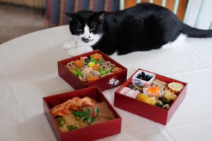 あんこちゃん、じとーっ