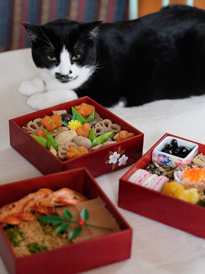 あんこちゃん、じとーっ