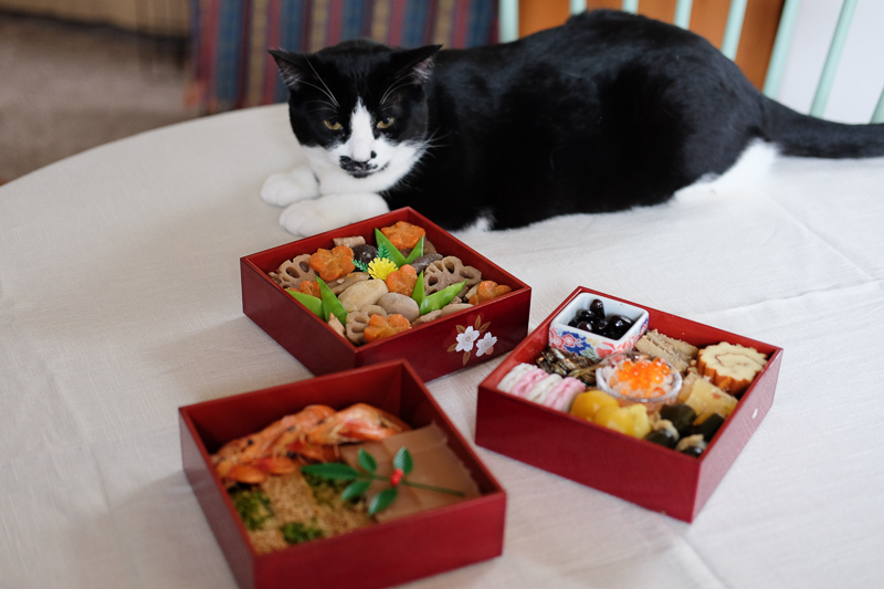 あんこちゃん、じとーっ