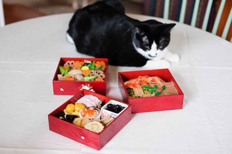 あんこちゃんとおせち