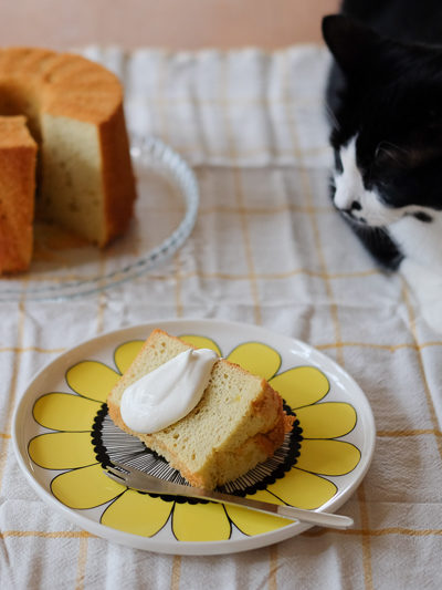 あんこちゃんとシフォンケーキ