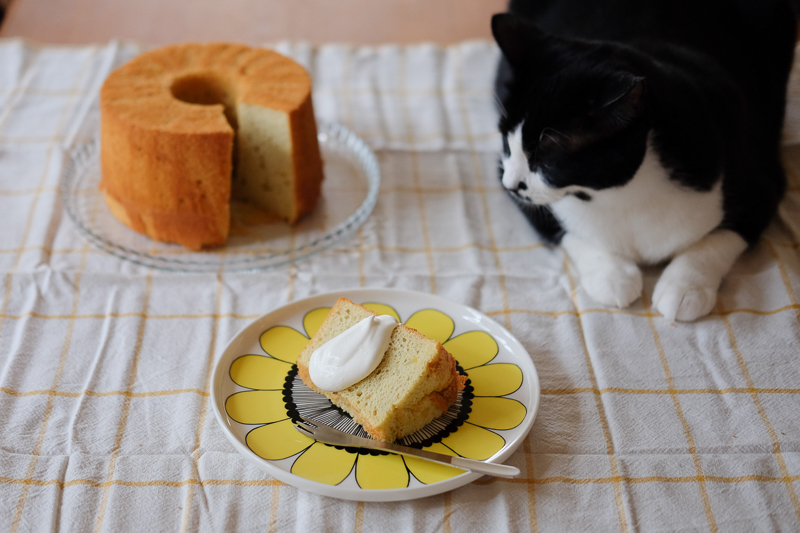 あんこちゃんとシフォンケーキ
