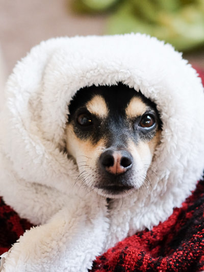 ラニ子ちゃん、あったかい？