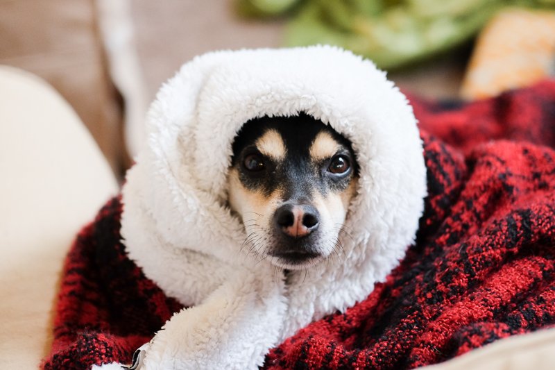 ラニ子ちゃん、あったかい？