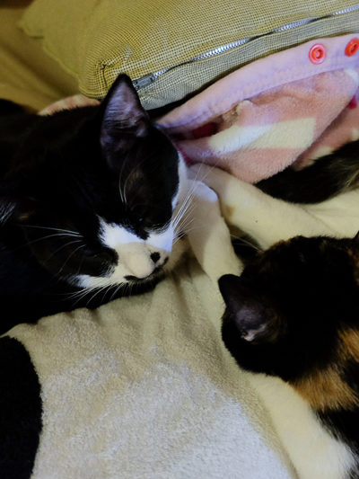 つながってる？