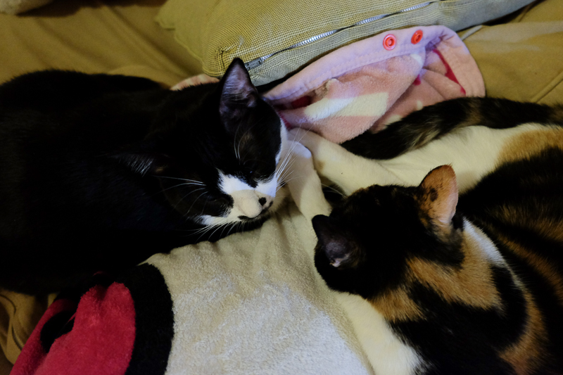 つながってる？