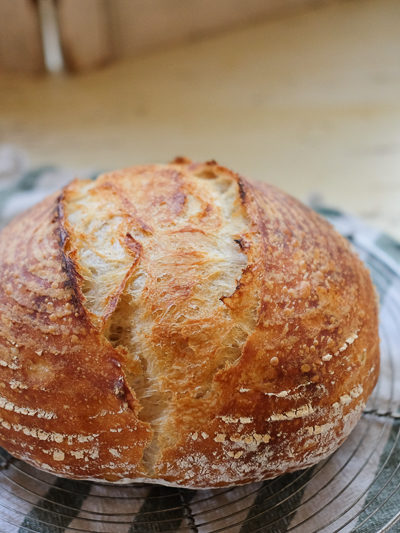 いい感じに焼けました！