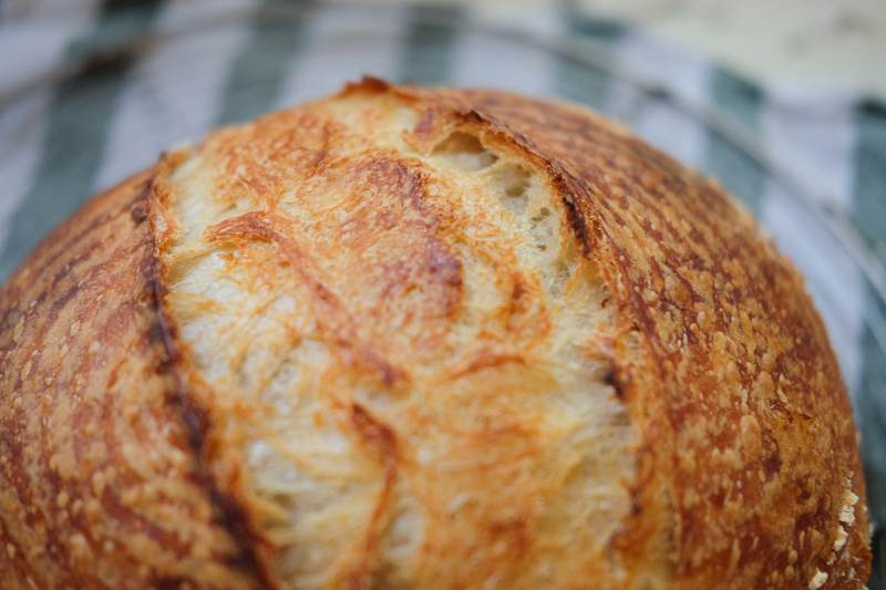 エッジもいけてる