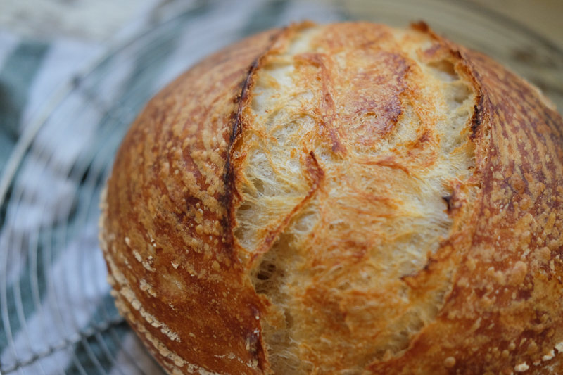 クープにうっとり