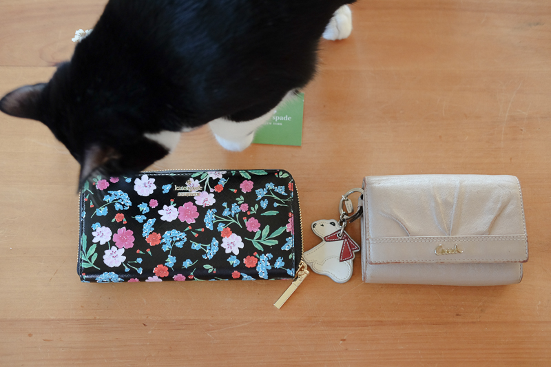 お財布新調しました