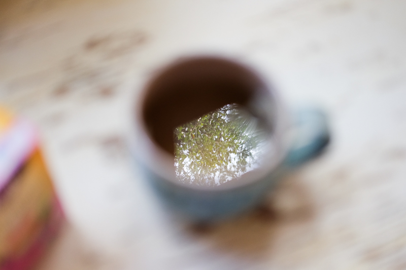 外の緑が
写りこんだ♪