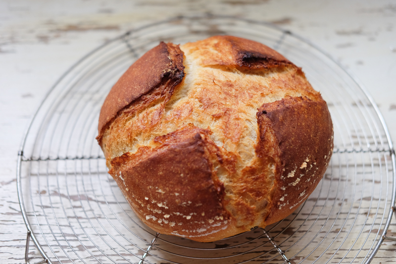 久々のカンパーニュ