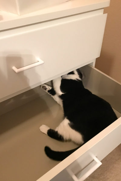 引き出しがあいてるから入る