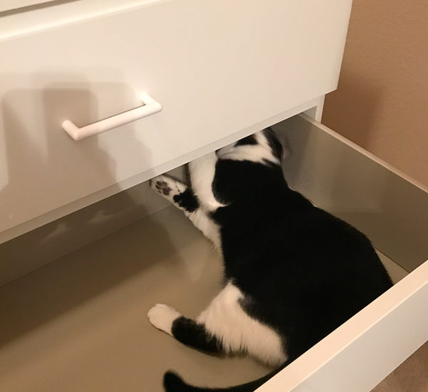 引き出しがあいてるから入る