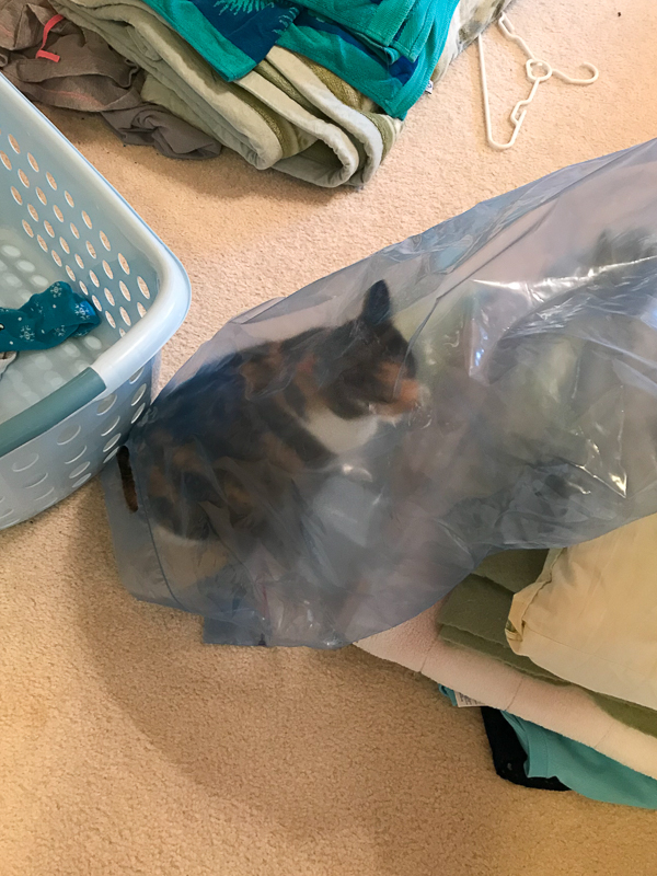 こんなの初めてよ