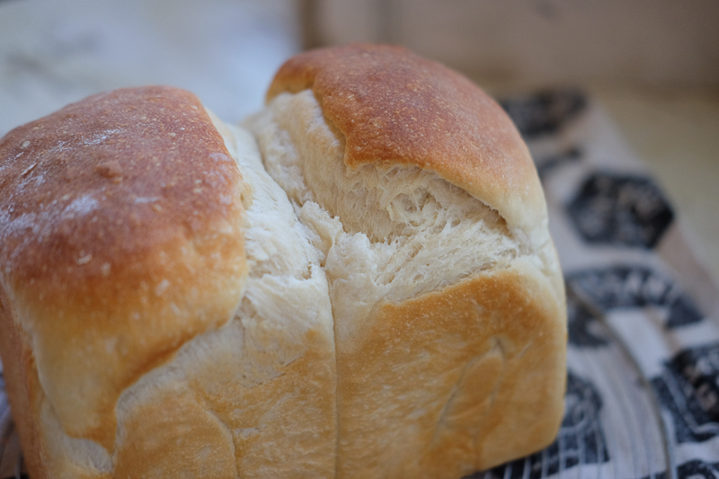 メリメリっともりあがった♪