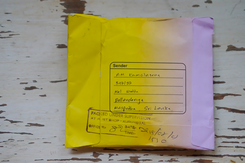 グラデーションがきれい～♪